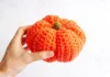 Halloween Pumpkin Crochet Halloween Pumpkin Pattern